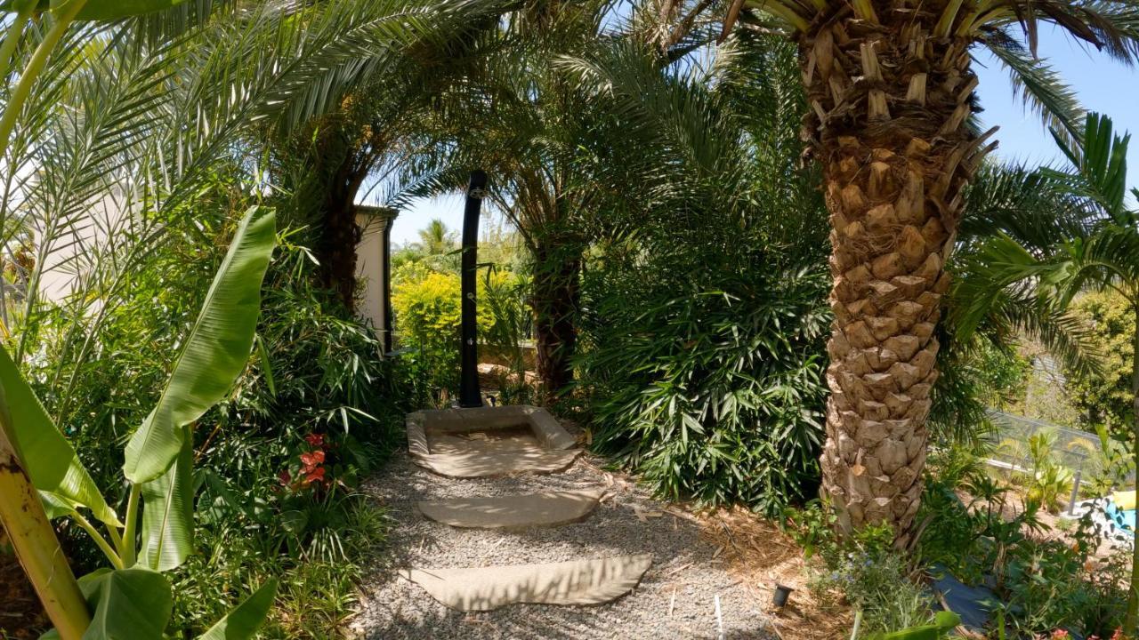 O Ruisseau Lodges - Lodge Dattier Saint-Louis Esterno foto